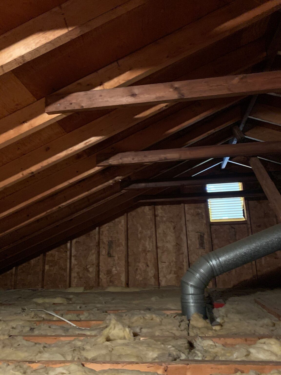 Comprehensive Mold Removal and Air Quality Solutions Mold Removal