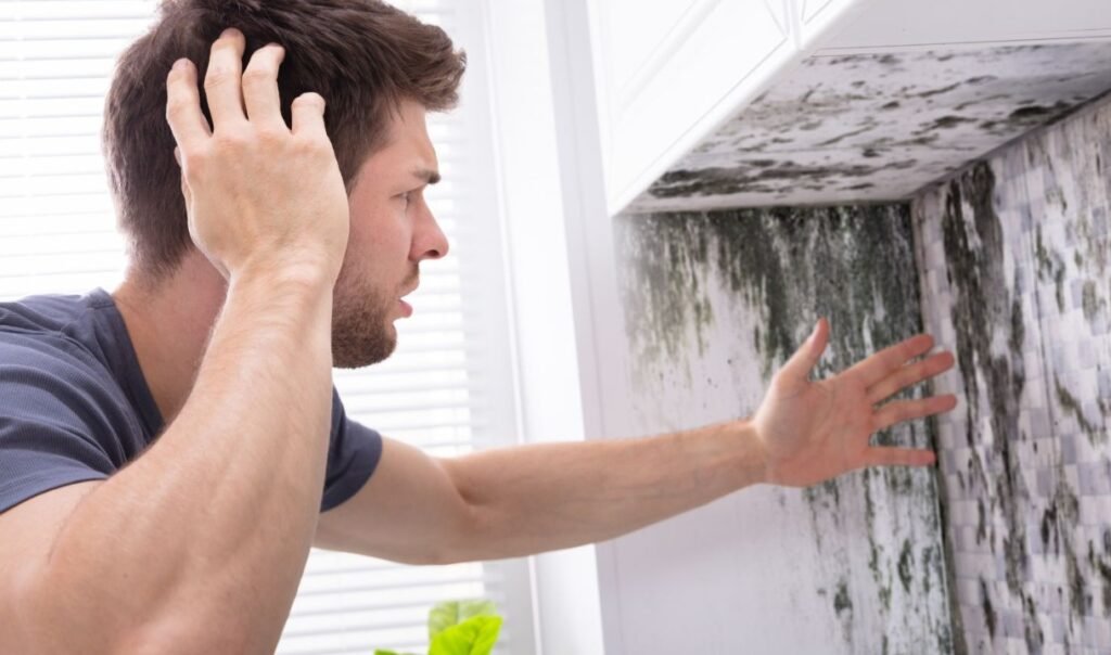 Professional Mold Removal Services for a Healthier Home Mold removal